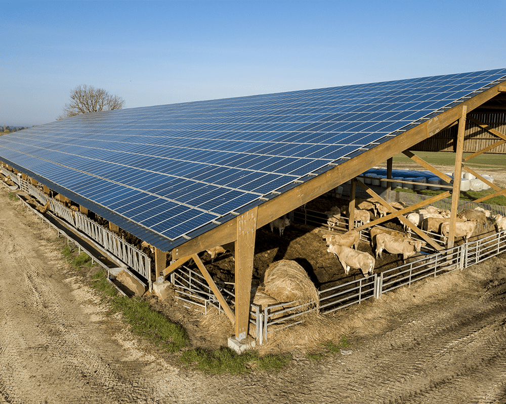 Bâtiment photovoltaïque utilisé pour l'élevage